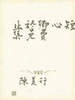 止于卿心短剧全集免费