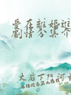 爱在离婚进行时剧情分集介绍