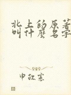 北上的原著小说叫什么名字
