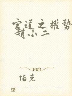 官道之权势滔天 赵小二