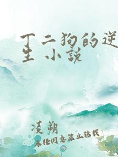 丁二狗的逆袭人生 小说
