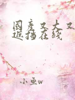 国产又大又黄无遮挡在线