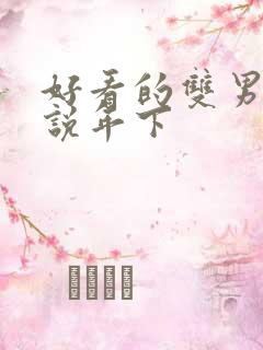 好看的双男主小说年下