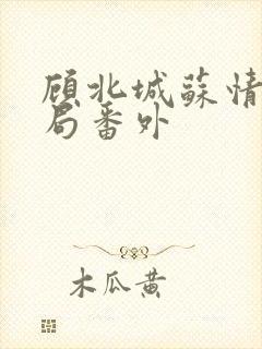 顾北城苏情生结局番外