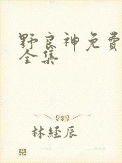 野良神免费漫画全集