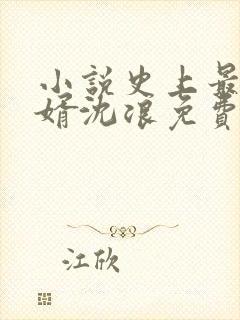 小说史上最强赘婿沈浪免费