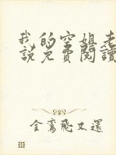 我的空姐老婆小说免费阅读