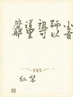 魔道祖师小说在哪里可以看