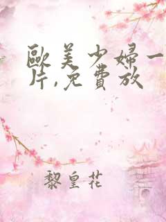 欧美少妇一级淫片,免费放