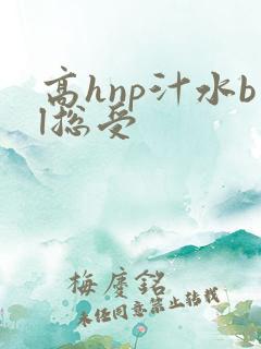 高hnp汁水bl总受