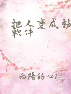 把人变成动漫的软件