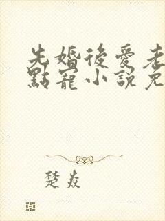 先婚后爱老公轻点宠小说免费阅读