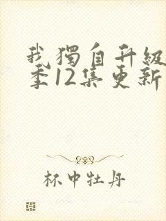 我独自升级第二季12集更新