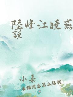 陆峰江晓燕 小说