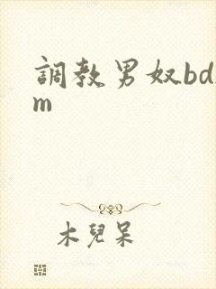 调教男奴bdsm