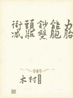 街头钞能力无删减版双胞胎