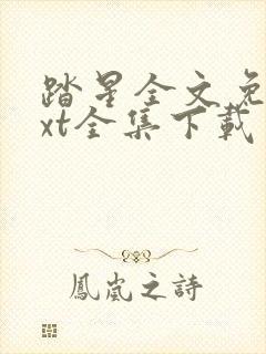 踏星全文免费txt全集下载