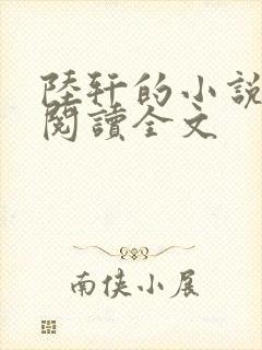 陆轩的小说免费阅读全文