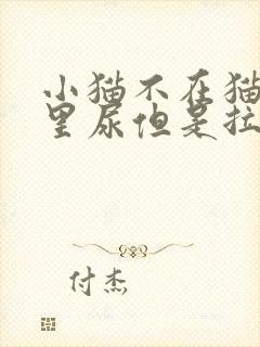 小猫不在猫砂盆里尿但是拉屎会进去