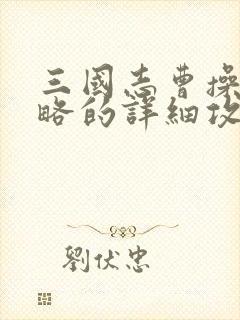 三国志曹操传攻略的详细攻略详解