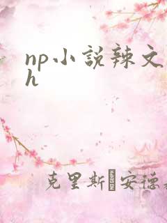 np小说辣文高h