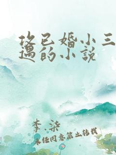 攻已婚小三有外遇的小说