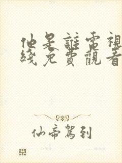 他是谁电视剧在线免费观看完整版