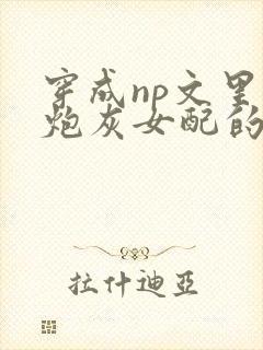 穿成np文里的炮灰女配的快穿小说