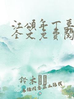 江颂年丁嘉小说全文免费阅读