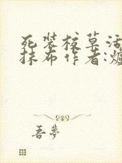 死装校草活该被抹布作者:炉香炉香