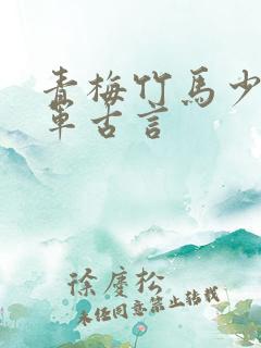 青梅竹马少年将军古言