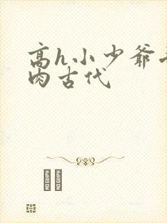 高h小少爷受荡肉古代