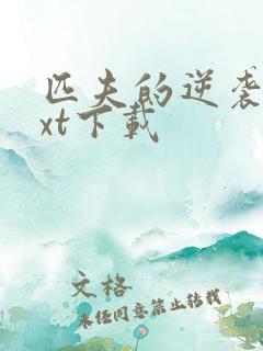 匹夫的逆袭 txt下载