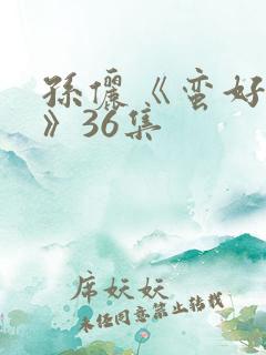 孙俪《蛮好人生》36集