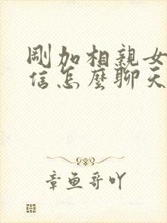 刚加相亲女生微信怎么聊天