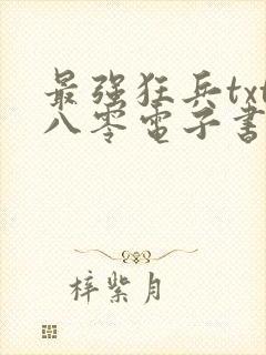 最强狂兵txt八零电子书完本下载