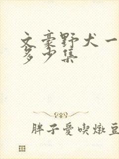 文豪野犬一共有多少集