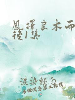 凤择良木而栖最后1集