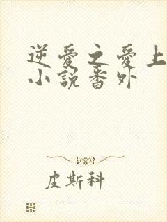 逆爱之爱上情敌小说番外