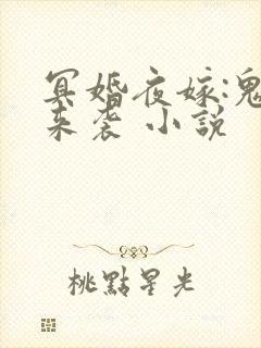 冥婚夜嫁:鬼夫来袭 小说