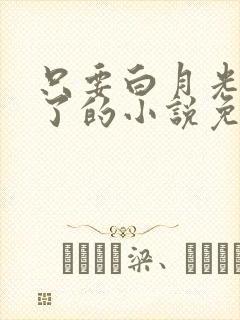 只要白月光就够了的小说免费阅读