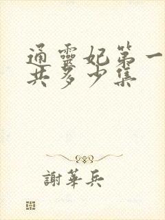 通灵妃第一季一共多少集