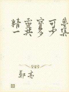 精灵宝可梦xy一共多少集