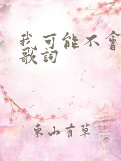 我可能不会爱你歌词