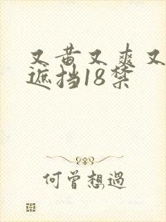 又黄又爽又色无遮挡18禁