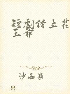 短剧错上花轿嫁王爷