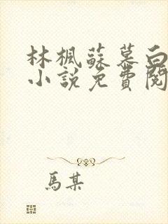 林枫苏慕白穿越小说免费阅读