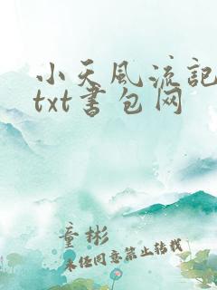 小天风流记小说txt书包网