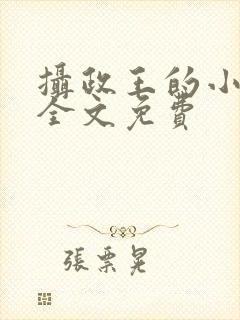 摄政王的小毒妃全文免费