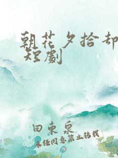 朝花夕拾却已迟 短剧